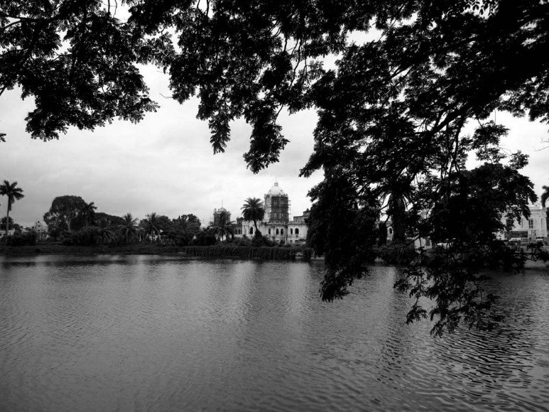 photography-img_3544